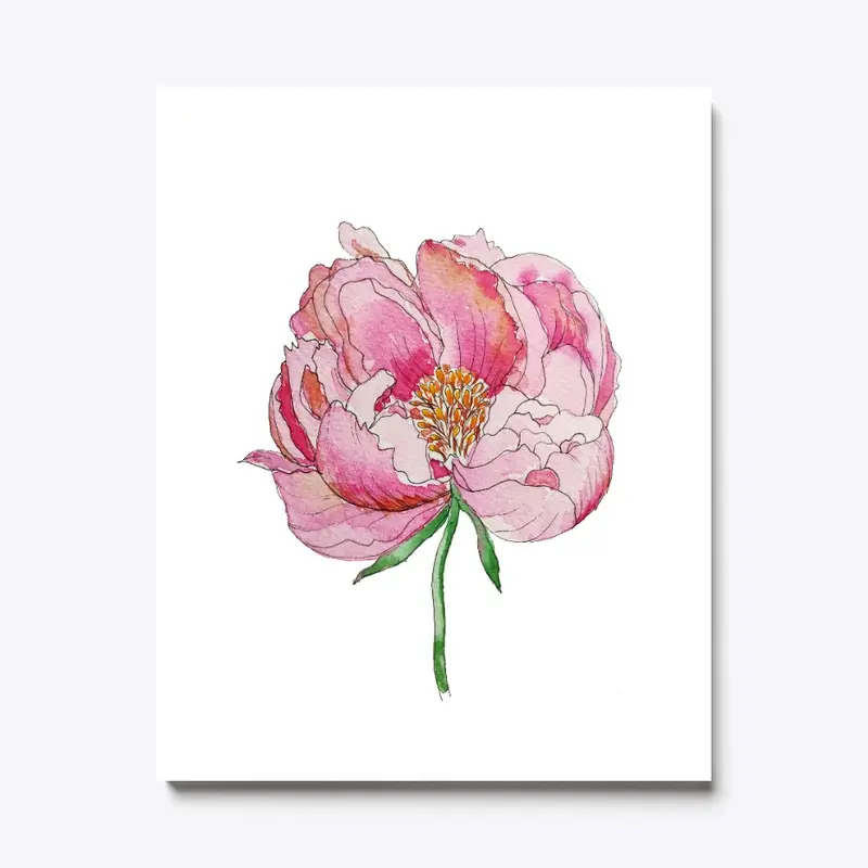 The magic of the peony